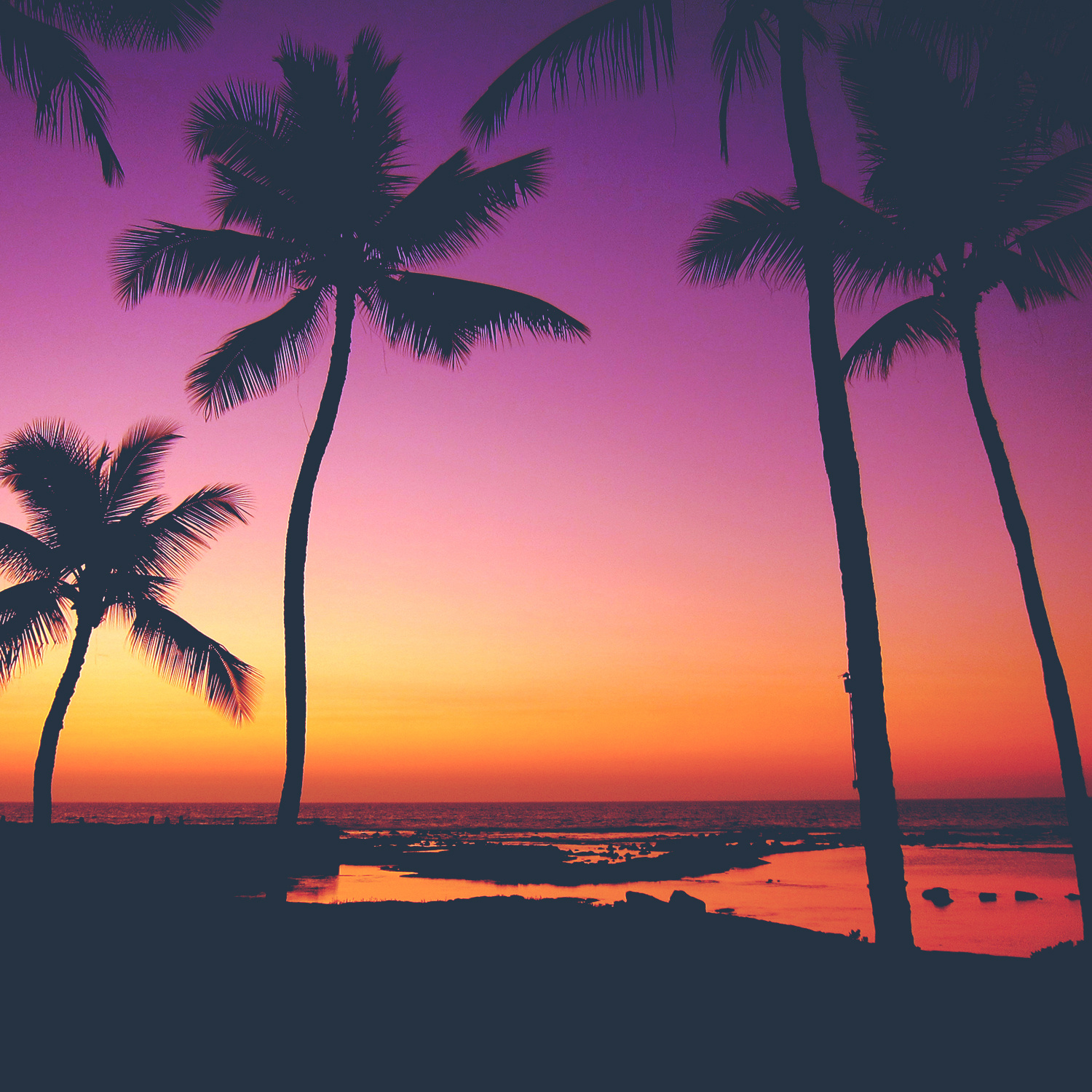 Tropical Beach at Sunset